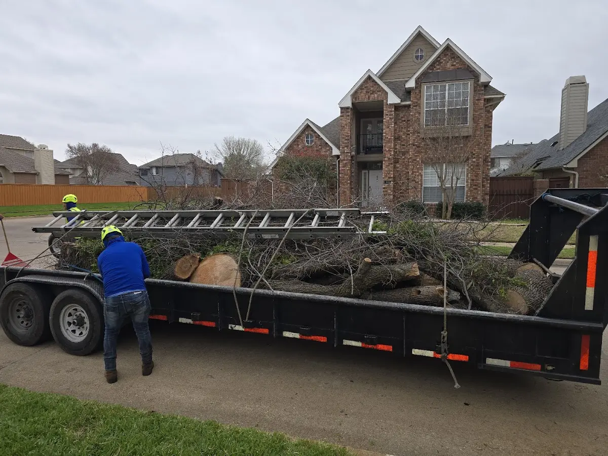 Expert Crown Reduction with proper safety equipment in Glennville